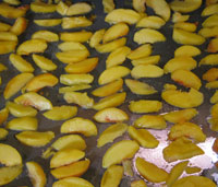 Sliced peaches already for drying.